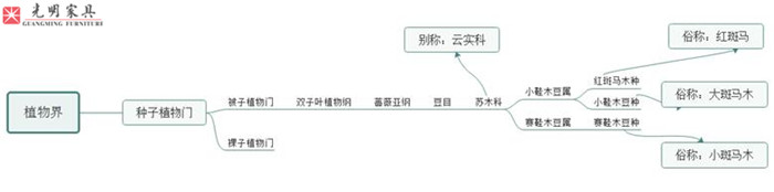 實(shí)木家具選材--紅斑馬木史上最完整全面的圖文介紹