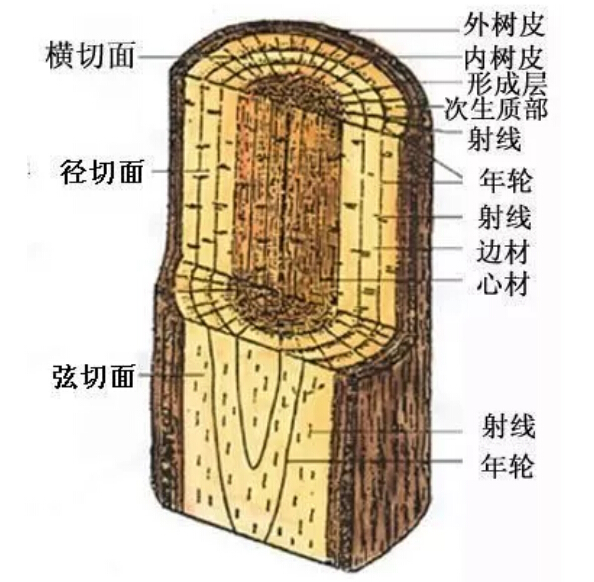 實(shí)木家具有色差正常嗎！實(shí)木家具色差有原因！